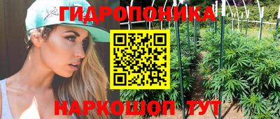 шишки Комсомольск-на-Амуре