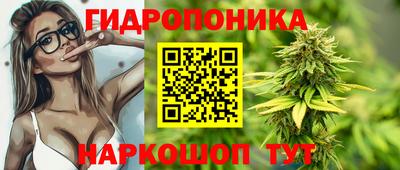 шишки Комсомольск-на-Амуре