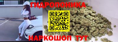 крисы Пугачёв